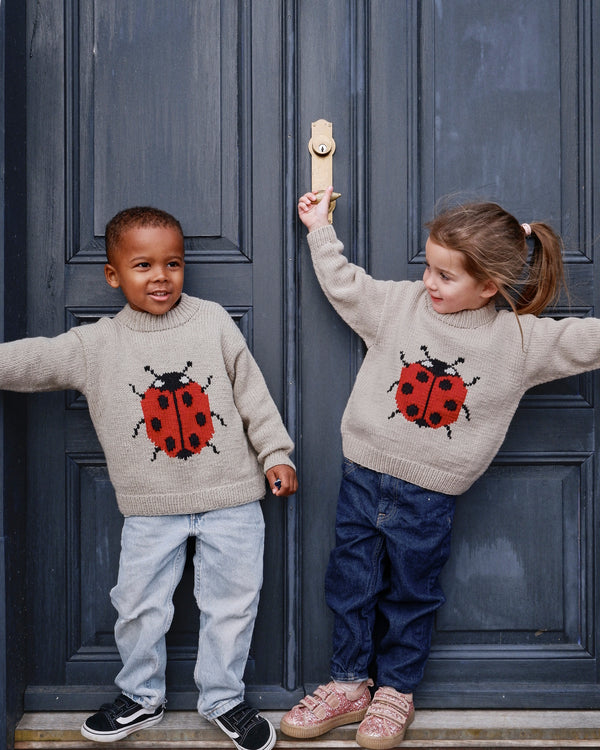 Ladybug Sweater – Strickanleitung & Garnpaket